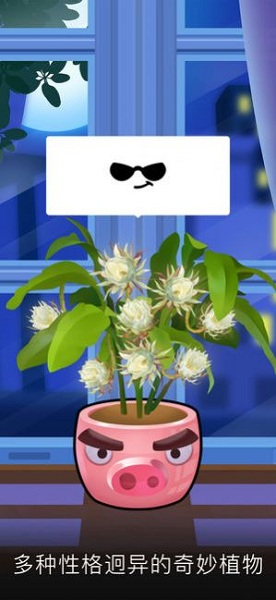 ջ԰3dϷ(Sky Garden) v1.05.37810 ׿°2