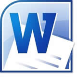 microsoft office word2010电脑版软件