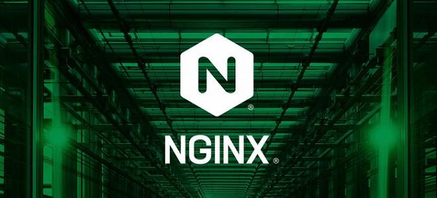 Nginx windows汾 v1.19.6 ȶ0