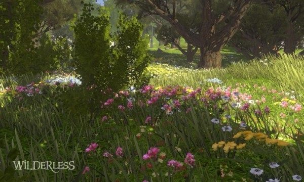 wilderless��������