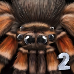 终极蜘蛛模拟器2无敌版(SpiderSim2)