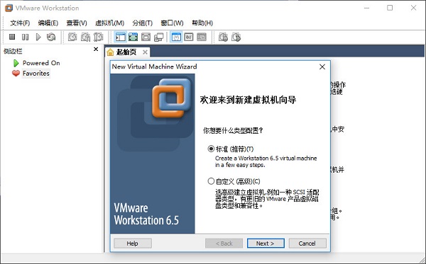 vmware workstation 6.5 İ0