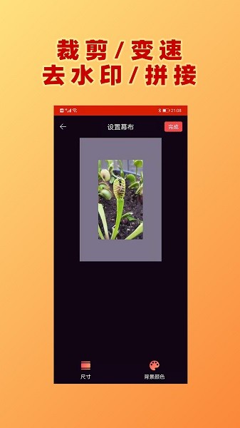 ��Ƶ���������°�����