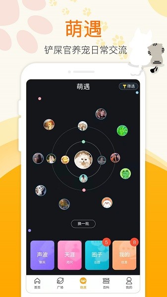 �ȳ��½app����