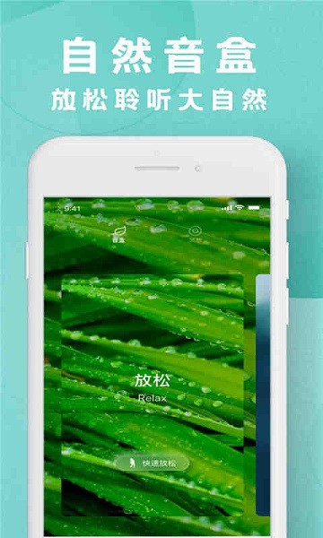 �٤�̳���������