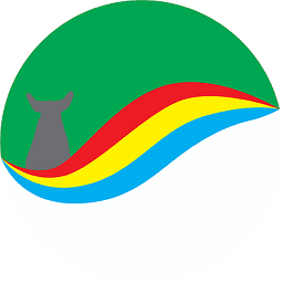 ����ͨ����