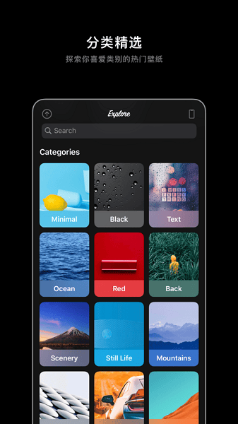 ������ֽapp����