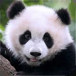 熊猫模拟器最新版