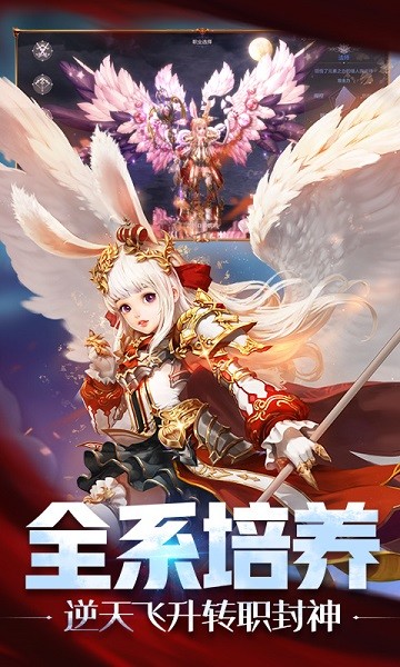 �Ϲ��������°�