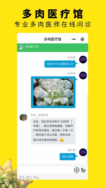 ����Ȧapp����