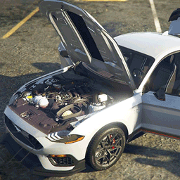 ��������ģ����2024