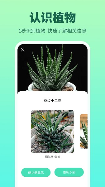 �����app����