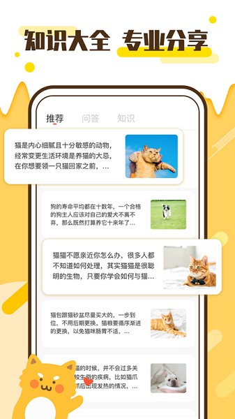 ���﷭������°�