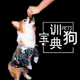 ѵ�������ֻ���