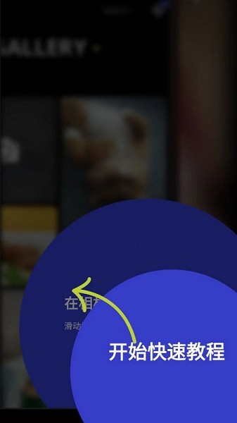 polaroidzip�ٷ�����