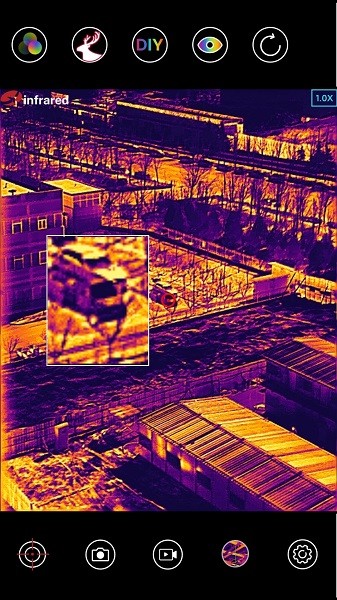 ҹ��go app����