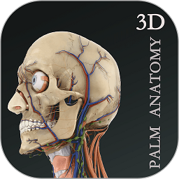 掌上3d解剖软件