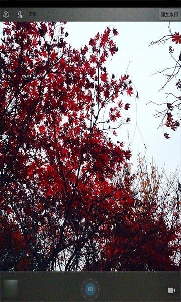 ħ����ͼ�����app����