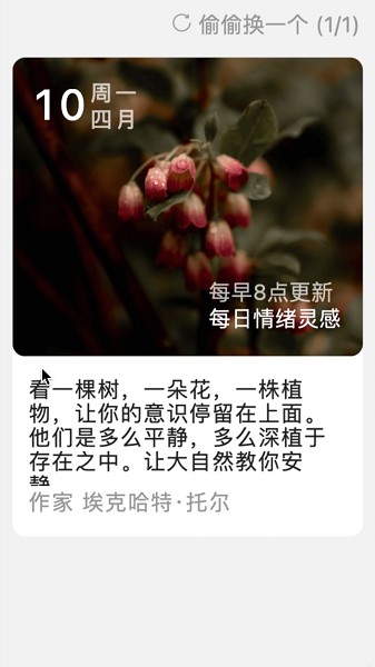 ��������app����