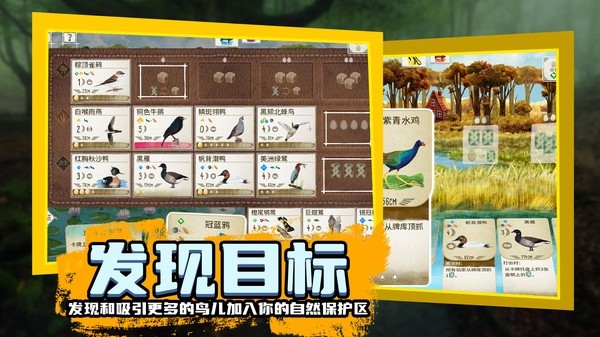 ����۲�����°�