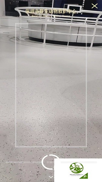 深圳市野生动物救护中心app 深圳市野生动物救护中心最新版