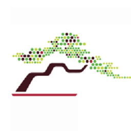 ���辰����