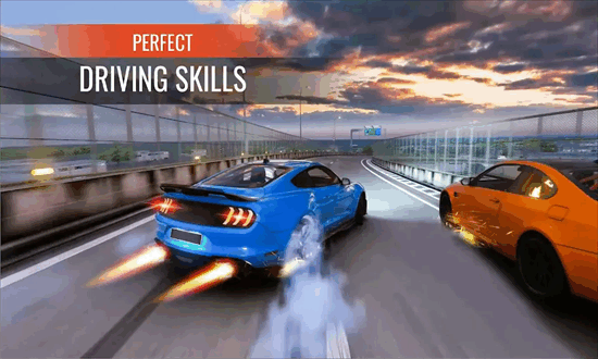 ռʻֻ(Traffic Driving) v1.0.1 ׿1