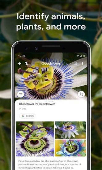 google lensܾͷ° v1.17.240515009 ׿1