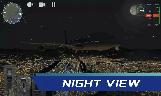 ģ2024ֻ(Flight Sim) v0.19.0 ׿0