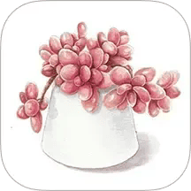 多肉花草成长日记最新版