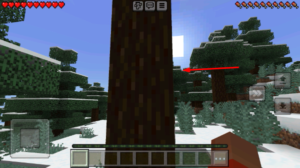 minecraft pe�ֻ�������