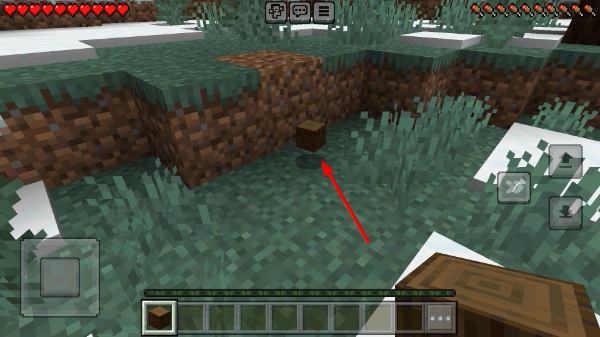 minecraft pe�ֻ�������