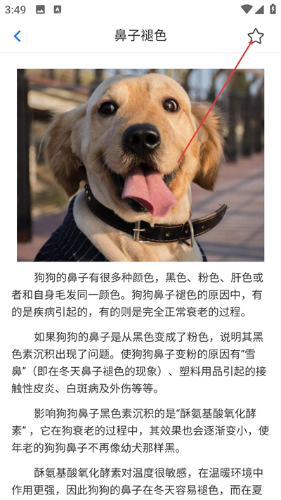 Ȯ��ʿapp��׿������