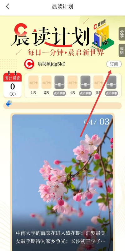 ����Ƶ����