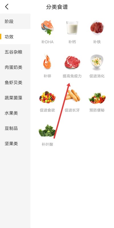 �ױ�����������