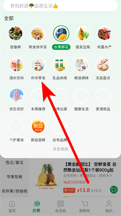 �����Ʋ�����