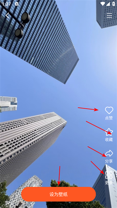 ħ����ֽ����