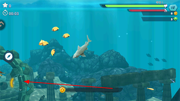 �������������������