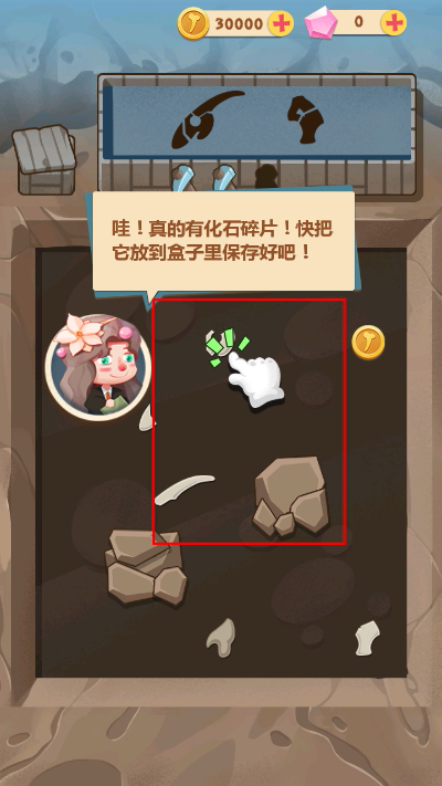 ȫ������������