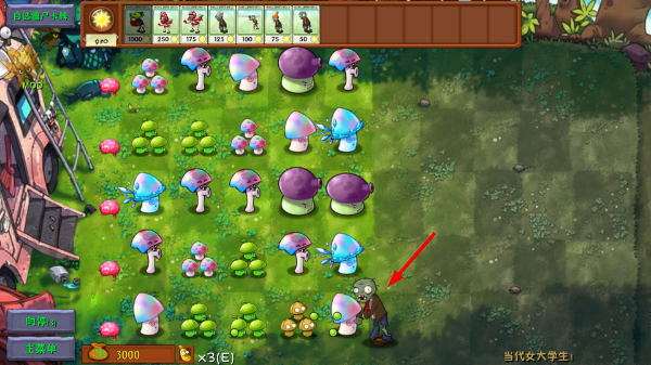 ֲ���ս��ʬ�ںϰ����������ƽ��