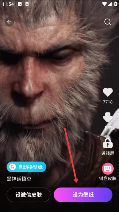 ��ֽ��������