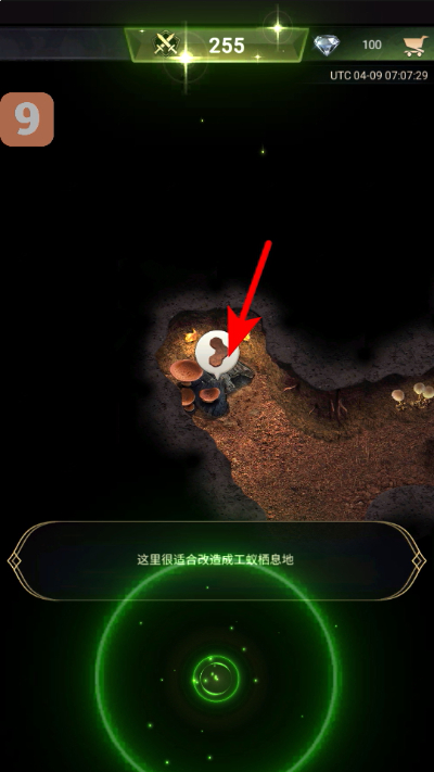 СС�Ϲ����°汾