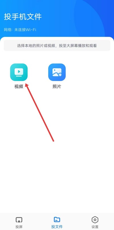 ��ݮͶ��app����