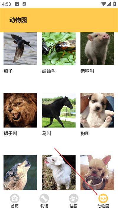 è������������Ѱ�����