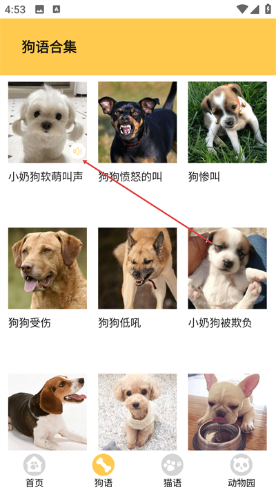 è������������Ѱ�����