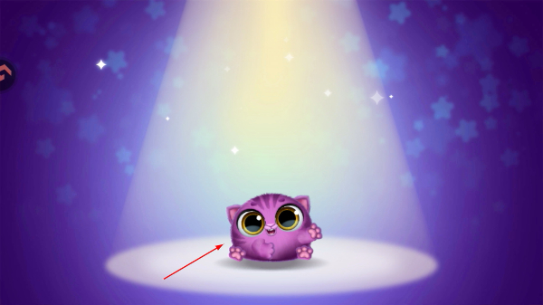 ��Ҫ��è����