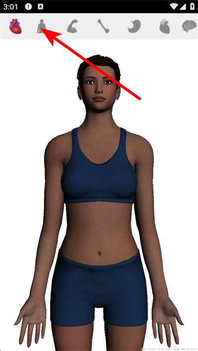 谷歌人体浏览器中文版 谷歌人体浏览器中文版