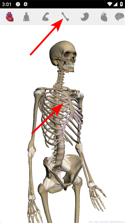 谷歌人体浏览器中文版 谷歌人体浏览器中文版