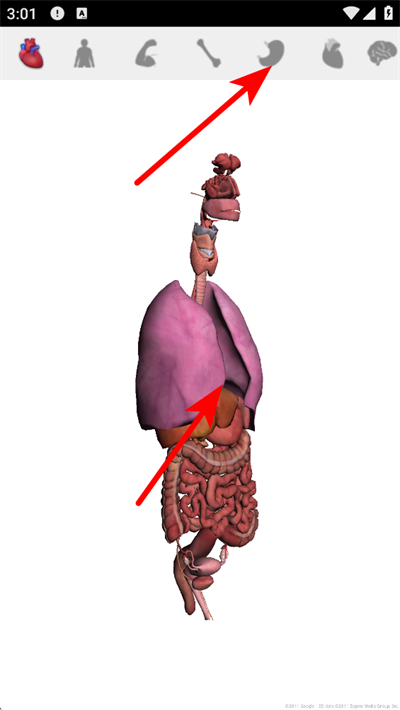 谷歌人体浏览器中文版 谷歌人体浏览器中文版