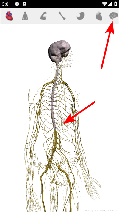 谷歌人体浏览器中文版 谷歌人体浏览器中文版